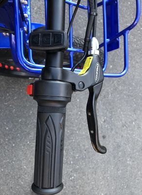 24-20&quot; Cargo OEM Tricycle with 750W Big Motor 21AH SM Lithium Battery 45KM/H UL2849