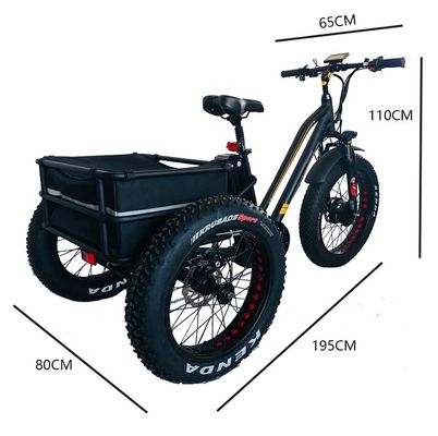 24-20&quot; Cargo OEM Tricycle with 750W Big Motor 21AH SM Lithium Battery 45KM/H UL2849