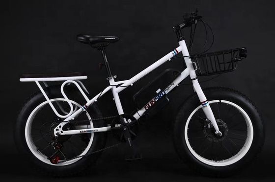 20&quot; 500W 48V13AH OEM/ODM EN15194 Disc Brake Electric Bike for Small Kids' Outdoor Fun