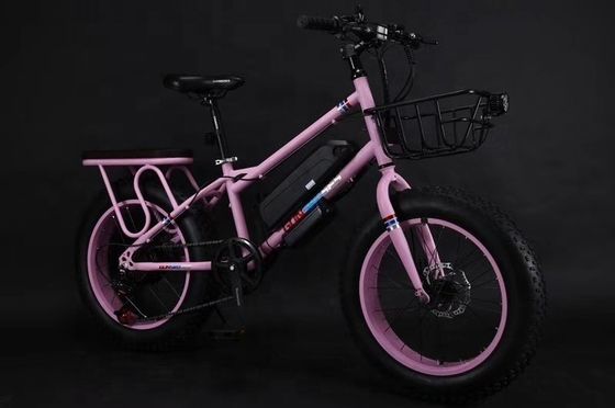 20&quot; 500W 48V13AH OEM/ODM EN15194 Disc Brake Electric Bike for Small Kids' Outdoor Fun