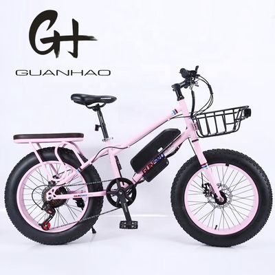 20&quot; 500W 48V13AH OEM/ODM EN15194 Disc Brake Electric Bike for Small Kids' Outdoor Fun