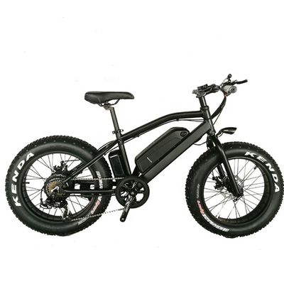 20&quot; Snow Tire Electric Mountain Bicycle with 48V 750W Motor and 14AH Lithium Battery