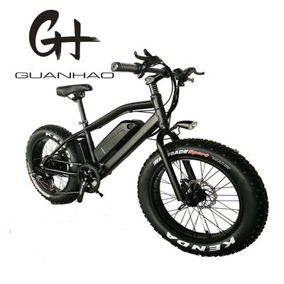 20&quot; Snow Tire Electric Mountain Bicycle with 48V 750W Motor and 14AH Lithium Battery