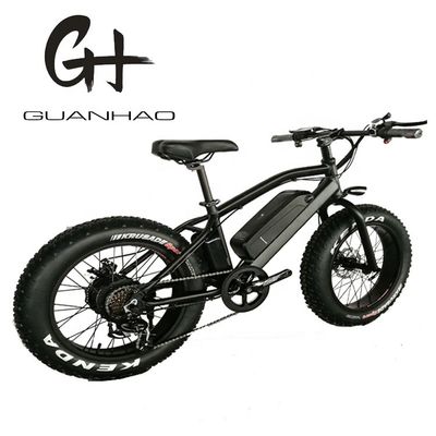 20&quot; Snow Tire Electric Mountain Bicycle with 48V 750W Motor and 14AH Lithium Battery