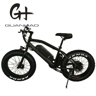 20&quot; Snow Tire Electric Mountain Bicycle with 48V 750W Motor and 14AH Lithium Battery