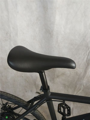 Max Load 120KG 700C Electric City Bicycle for Adults 35KM/H EN15194 Chinese Cruiser E Bike