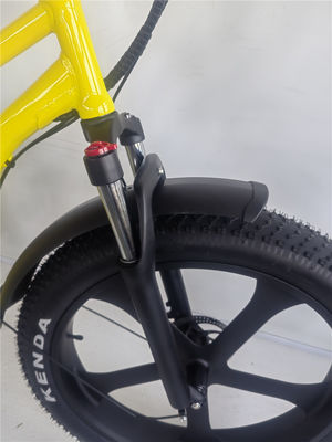 26 Inch Fat 4.0 Tire 48V 750W 45KM/H 21AH Electric Beach Cruiser Bike with LCD Display