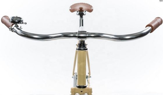 Hard Frame 1.8m Length CE Coaster Brake Single Speed Hybrid City Bike for Adult Men