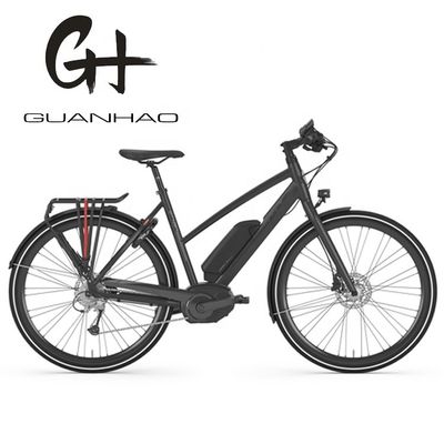 Bafang Central Motor 25KM/H 8.8AH Lithium Battery OEM CE Electric City Cargo Bicycle