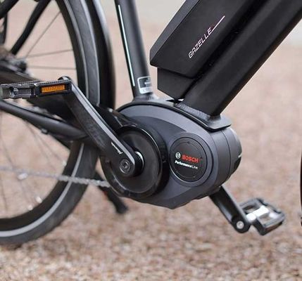 Bafang Central Motor 25KM/H 8.8AH Lithium Battery OEM CE Electric City Cargo Bicycle