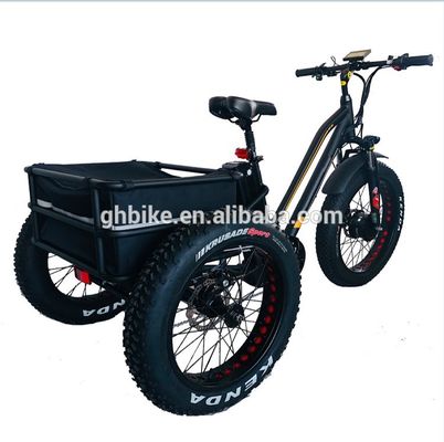 Max Speed 50km/h 8Fun 750W Front Motor 4.0 Fat Tire Cargo Electric Trike Tricycle 3 Wheels
