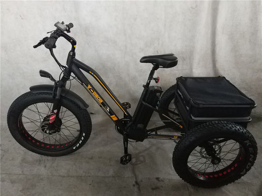 Max Speed 50km/h 8Fun 750W Front Motor 4.0 Fat Tire Cargo Electric Trike Tricycle 3 Wheels