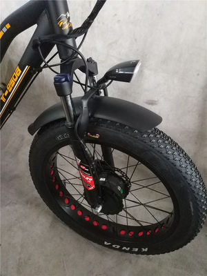 Max Speed 50km/h 8Fun 750W Front Motor 4.0 Fat Tire Cargo Electric Trike Tricycle 3 Wheels