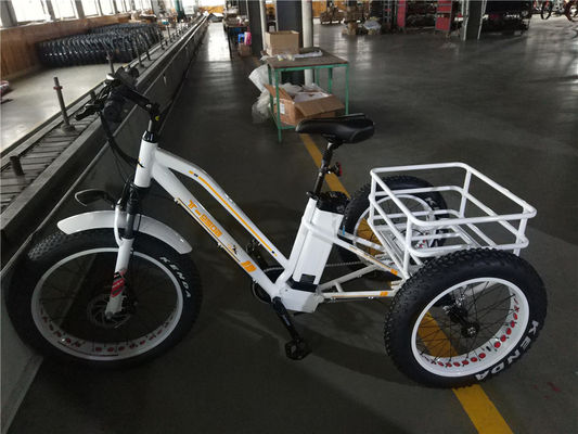 Max Speed 50km/h 8Fun 750W Front Motor 4.0 Fat Tire Cargo Electric Trike Tricycle 3 Wheels