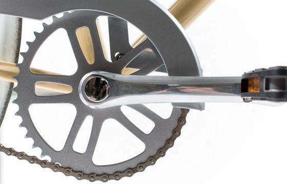 13 KGS 24inch Alloy Hub Single Speed Coaster Brake Holland City Bike for Men and Women