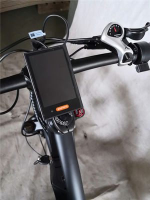 Adult Fat Tyre Cycle E Ebike Electric Bike 48V 1000W 21A Central Mid Drive Motor 26 Inch