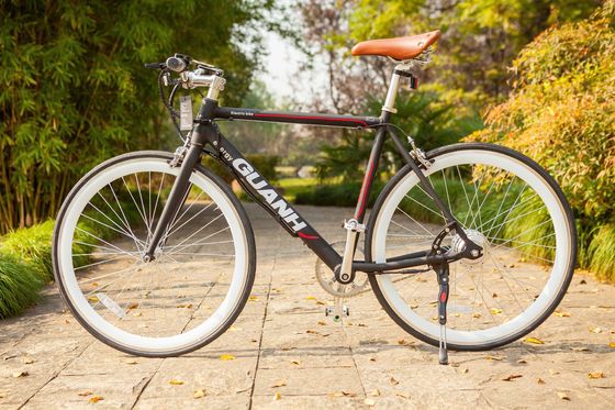 Hidden Lithium Battery 700C 36V 250W 8.8AH 25KM/H Single Speed Electric Bike for Adult Men