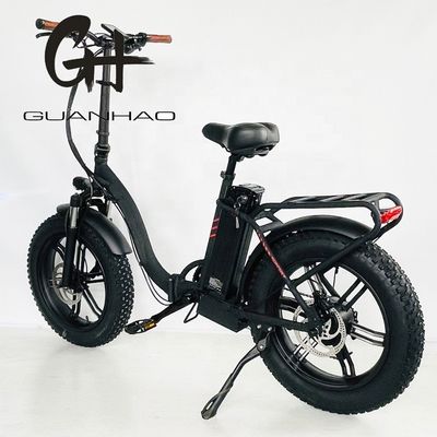 CE Approved 48V 10.4AH Electric Folding Bike with 750W Motor and Top Speed of 50KM/H