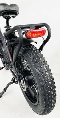 CE Approved 48V 10.4AH Electric Folding Bike with 750W Motor and Top Speed of 50KM/H