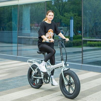 48V 13AH 750W Electric Folding Bike with 20&quot; Foldable Frame and Magnesium Alloy Wheelset