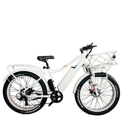 CE UL2849 4.0 Snow Big Fat Tire Adult Mens Electric Mountain Hybrid Bike 48V 1000W 50KM/H