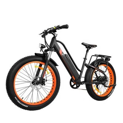 26&quot; Wheel Size 48V 750W A2B CE UL2849 OEM EN15194 17AH Aluminum SNOW 4.0 Big Fat Tire Electric Hybrid Ebike