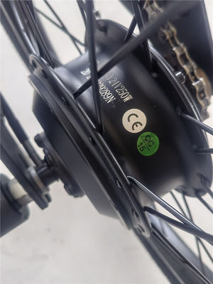 KT Controller 2024 250W 24V 10.4 A PAS Single Speed Electric Bike with Hidden Battery