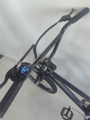 KT Controller 2024 250W 24V 10.4 A PAS Single Speed Electric Bike with Hidden Battery