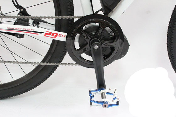 High Capacity 29&quot; 1000W 48V 17Ah Lithium Battery Electric Mountain Bike for Adult Men