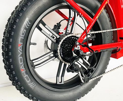 Foldable Frame 48V 750W Electric Bike with Step Through Design and 20x4 Fat Tire