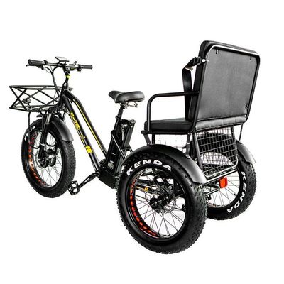 Disc Brake 750W Electric Cargo Tricycle Fat Tire 3 Wheel E Trike for Long Range Travel