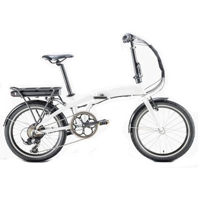USA Customized 20&quot; Folding Electric Bike with 36V 350W Motor and 10.4AH Lithium Battery