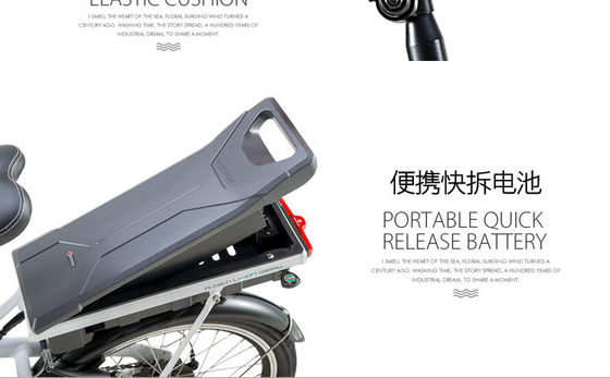 USA Customized 20&quot; Folding Electric Bike with 36V 350W Motor and 10.4AH Lithium Battery