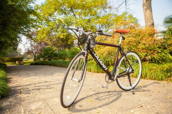 City 700C 25KM/H CE 36V 8AH Lithium Battery OEM Customized 250W Europe City Single Speed Adult Men Electric Hidden Battery Bicycle