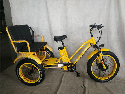 750W Central Motor Fat Tire Electric Rickshaw with Aluminum Carrier and Passenger Seat