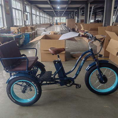 750W Central Motor Fat Tire Electric Rickshaw with Aluminum Carrier and Passenger Seat