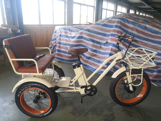 750W Central Motor Fat Tire Electric Rickshaw with Aluminum Carrier and Passenger Seat