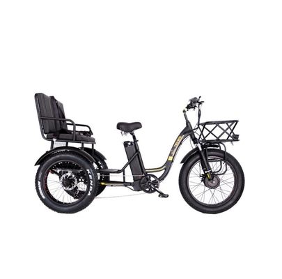 750W Central Motor Fat Tire Electric Rickshaw with Aluminum Carrier and Passenger Seat