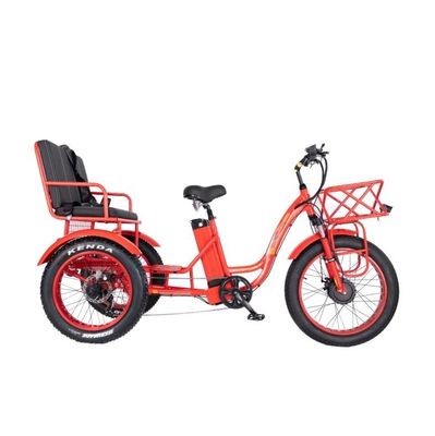 48V E Trike 3 Wheel 750 Watt Fat Tire Rickshaw with Bafang 750W Motor and Performance