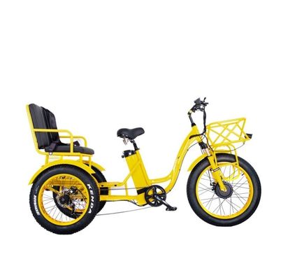 48V E Trike 3 Wheel 750 Watt Fat Tire Rickshaw with Bafang 750W Motor and Performance