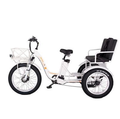 48V E Trike 3 Wheel 750 Watt Fat Tire Rickshaw with Bafang 750W Motor and Performance
