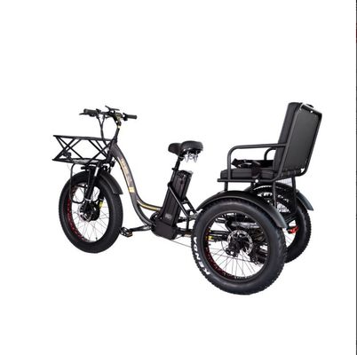 48V E Trike 3 Wheel 750 Watt Fat Tire Rickshaw with Bafang 750W Motor and Performance