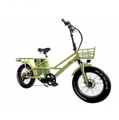 48V Electric Dual Motor 1000 Watt Long Range Fat Tire Cargo E-Bike with Fast Charging
