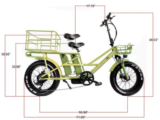 48V Electric Dual Motor 1000 Watt Long Range Fat Tire Cargo E-Bike with Fast Charging