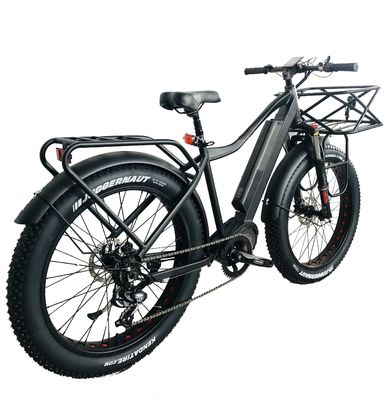 USA Market EN15194 CPSC 48V 1000W 17AH Electric Mountain Bike with Bafang Middle Motor