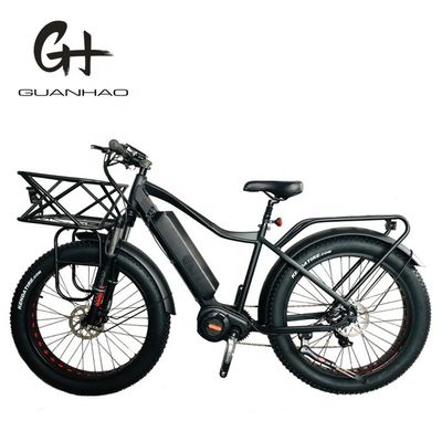 USA Market EN15194 CPSC 48V 1000W 17AH Electric Mountain Bike with Bafang Middle Motor