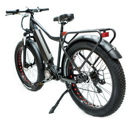 USA Market EN15194 CPSC 48V 1000W 17AH Electric Mountain Bike with Bafang Middle Motor