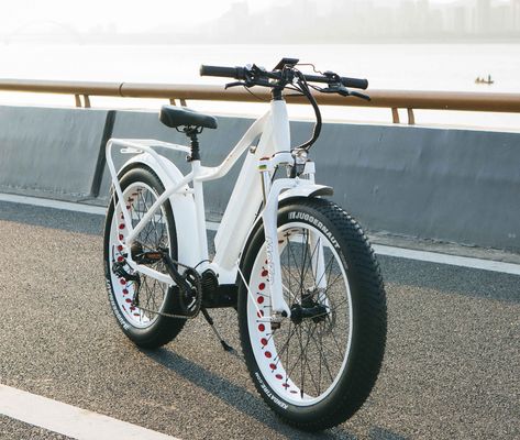 USA Market EN15194 CPSC 48V 1000W 17AH Electric Mountain Bike with Bafang Middle Motor