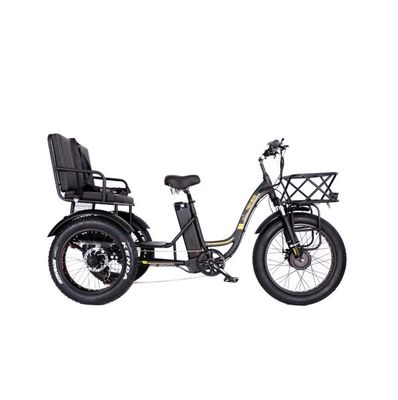 16.7 Ah Battery Capacity 750W HEAVY DUTY RICKSHAW ELECTRIC TRICYCLE for Passenger