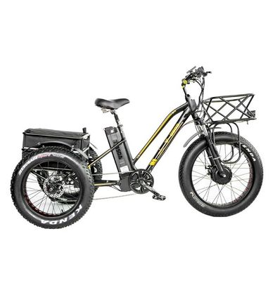 16.7 Ah Battery Capacity 750W HEAVY DUTY RICKSHAW ELECTRIC TRICYCLE for Passenger